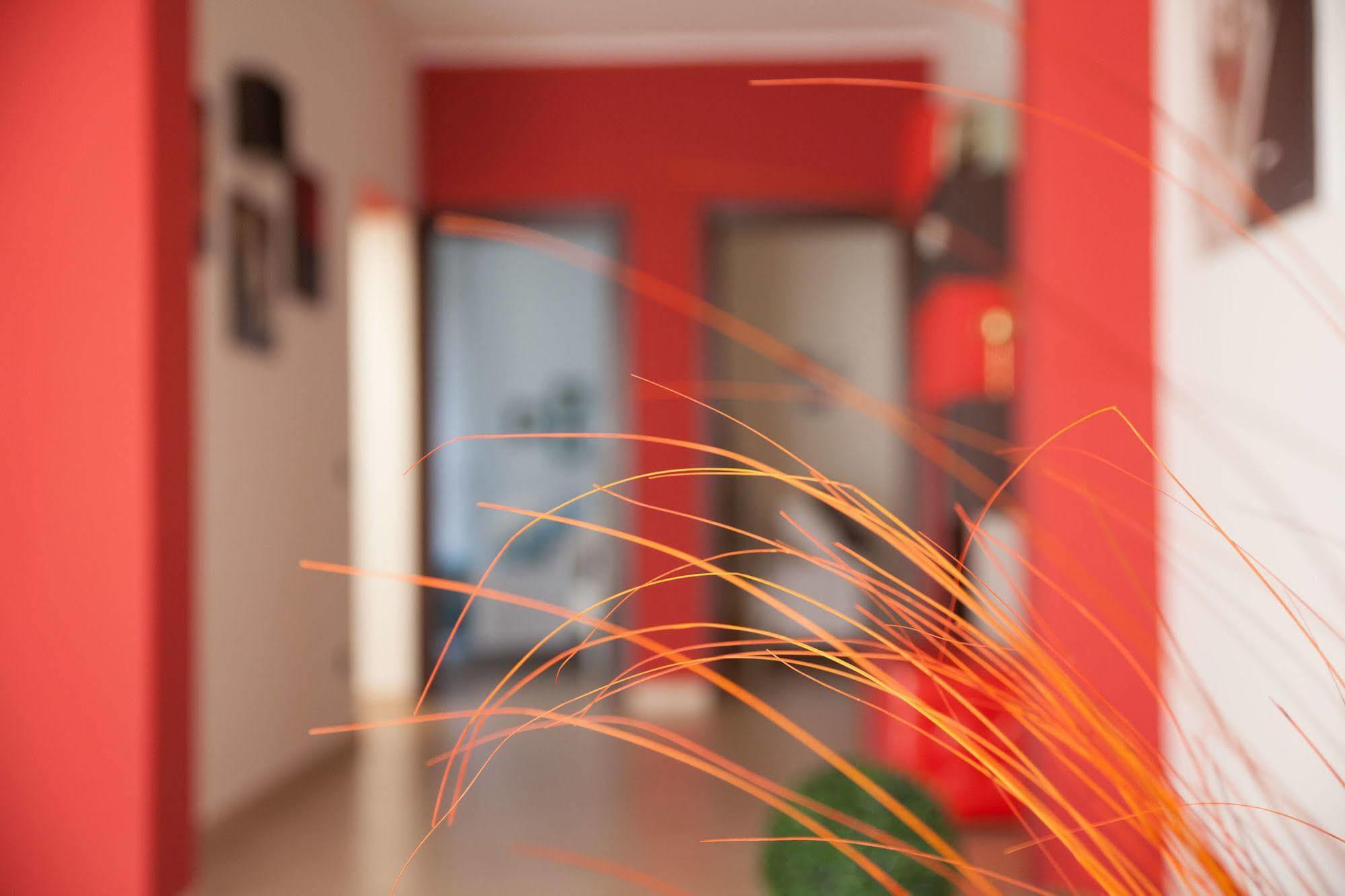 Bed and Breakfast Bianco Sale Trapani Rilievo Exterior foto